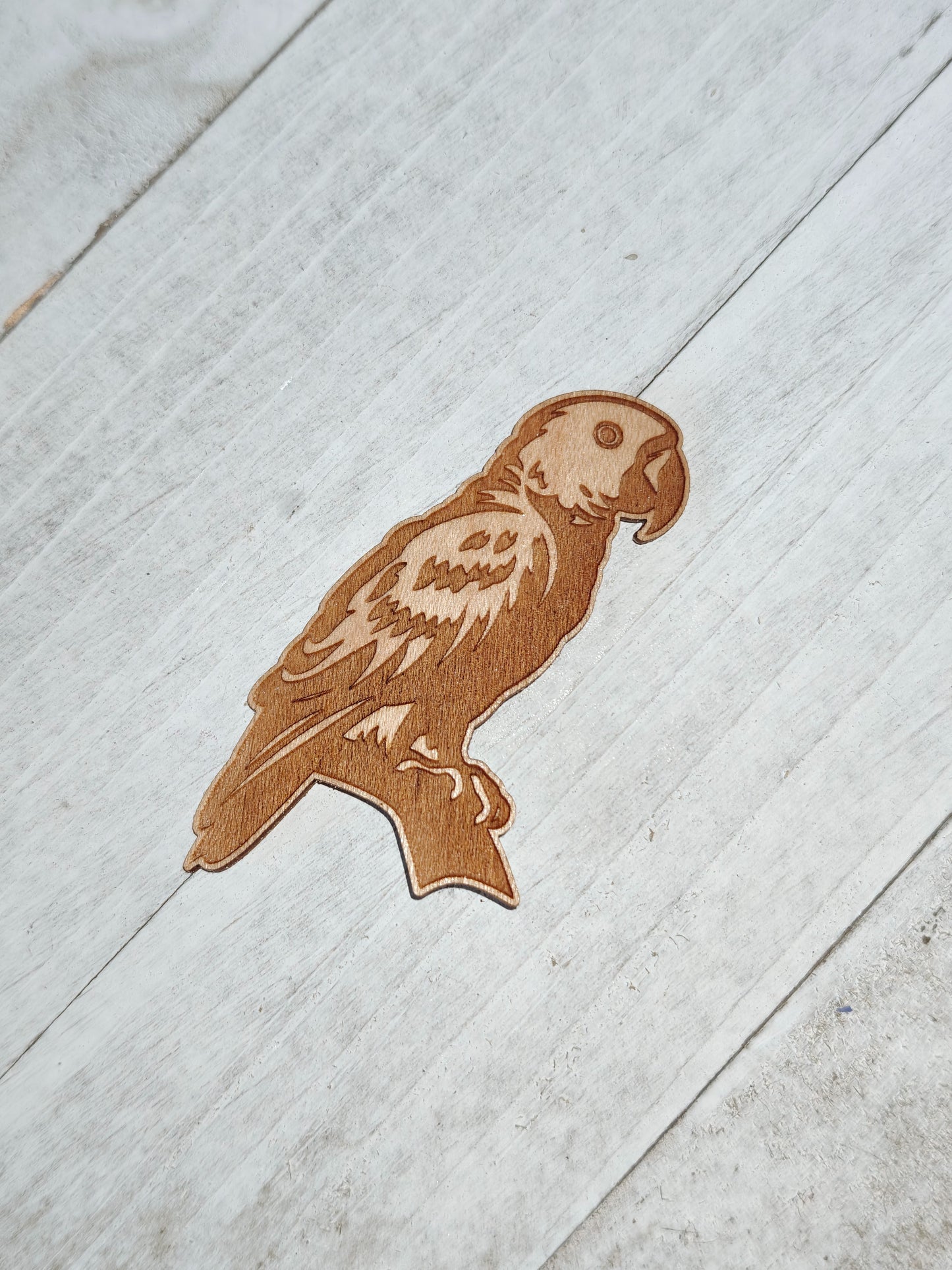 Cotorra Sticker