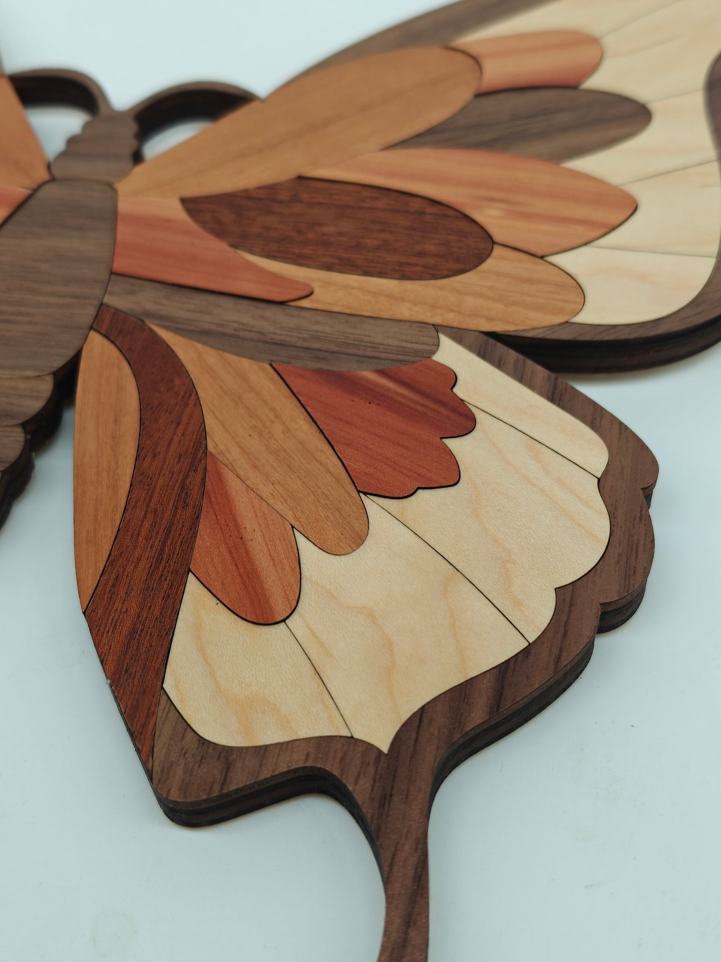 Cuadro de mariposa en madera