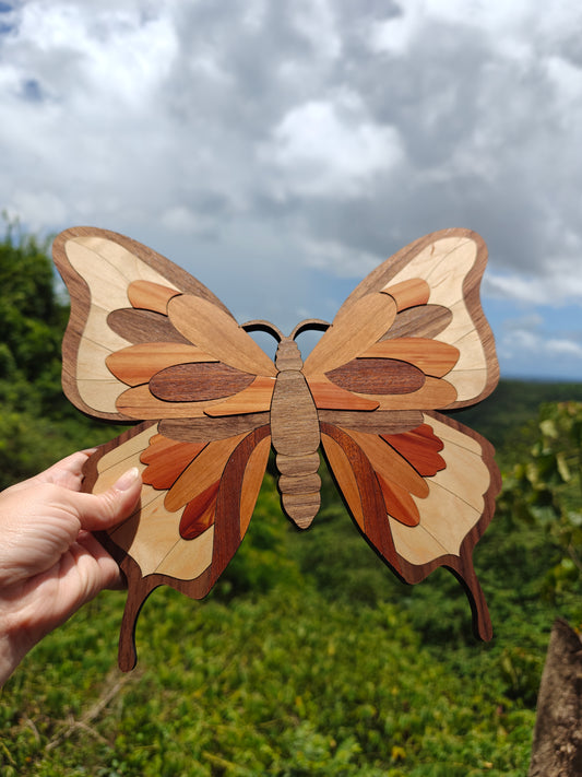 Cuadro de mariposa en madera